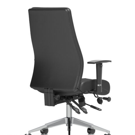 Onyx High Back Ergonomic Posture Chair with Height Adjustable Arms