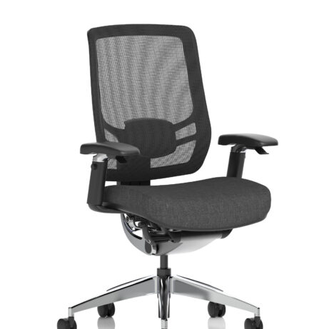 Ergo Click High Back Ergonomic Posture Office Chair with Arms