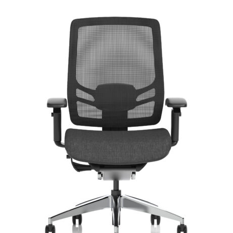 Ergo Click High Back Ergonomic Posture Office Chair with Arms