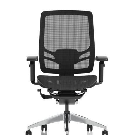 Ergo Click High Back Ergonomic Posture Office Chair with Arms