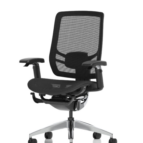 Ergo Click High Back Ergonomic Posture Office Chair with Arms