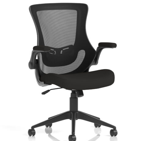 Orbit Black Mesh Back Chair featuring a black mesh back and seat, ergonomic design, and adjustable armrests.