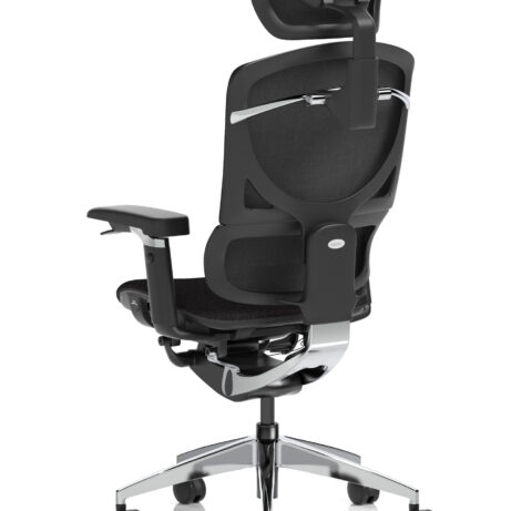 Ergo Click Plus High Back Ergonomic Posture Office Chair with Arms and Headrest