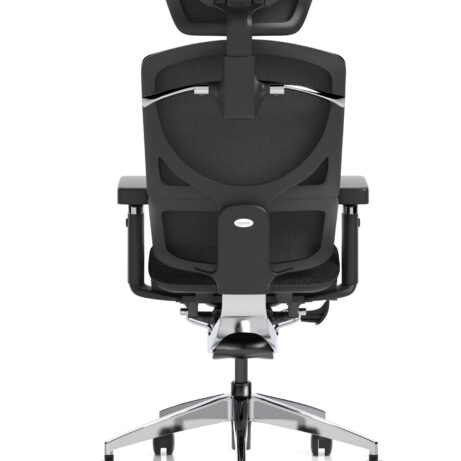 Ergo Click Plus High Back Ergonomic Posture Office Chair with Arms and Headrest
