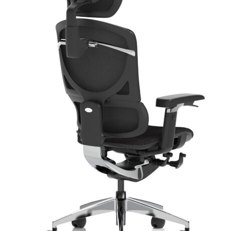 Ergo Click Plus High Back Ergonomic Posture Office Chair with Arms and Headrest