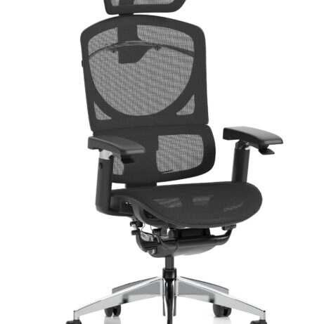 Ergo Click Plus High Back Ergonomic Posture Office Chair with Arms and Headrest