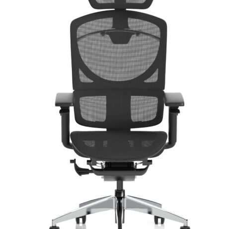 Ergo Click Plus High Back Ergonomic Posture Office Chair with Arms and Headrest