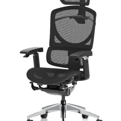 Ergo Click Plus High Back Ergonomic Posture Office Chair with Arms and Headrest