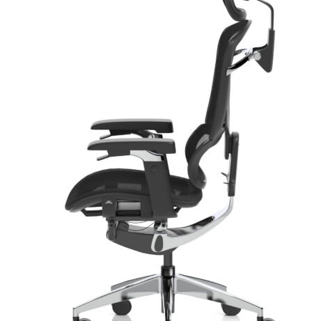 Ergo Click Plus High Back Ergonomic Posture Office Chair with Arms and Headrest