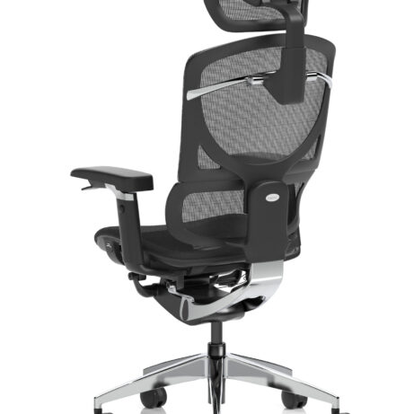 Ergo Click Plus High Back Ergonomic Posture Office Chair with Arms and Headrest