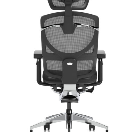 Ergo Click Plus High Back Ergonomic Posture Office Chair with Arms and Headrest