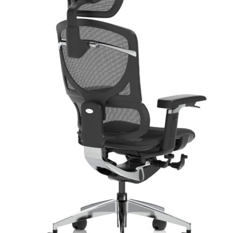 Ergo Click Plus High Back Ergonomic Posture Office Chair with Arms and Headrest