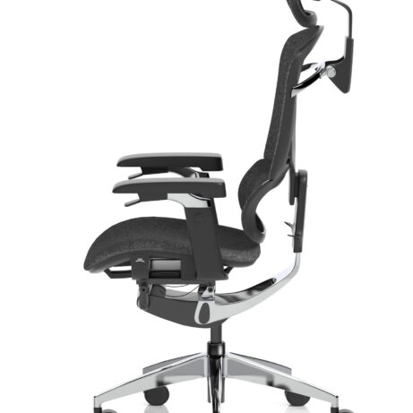 Ergo Click Plus High Back Ergonomic Posture Office Chair with Arms and Headrest
