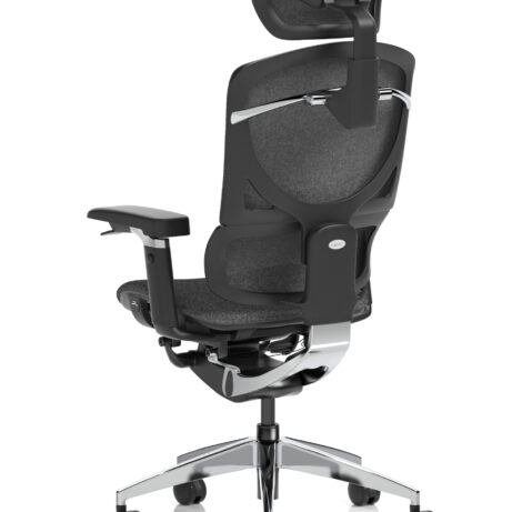 Ergo Click Plus High Back Ergonomic Posture Office Chair with Arms and Headrest