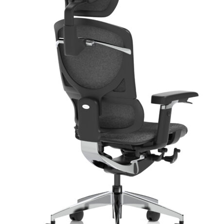 Ergo Click Plus High Back Ergonomic Posture Office Chair with Arms and Headrest
