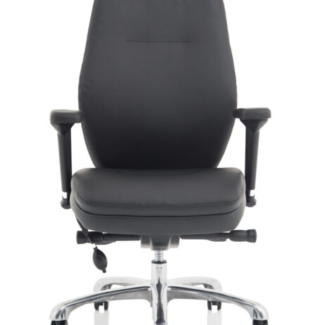 Domino High Back Black Ergonomic Posture Chair with Arms and Headrest