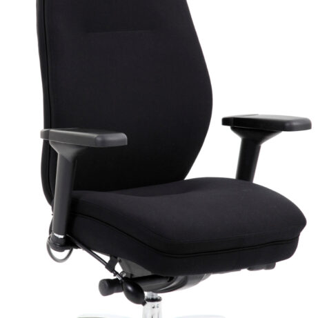 Domino High Back Black Ergonomic Posture Chair with Arms and Headrest