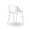 Papillon Meeting & Café Chair in white, featuring a compact design suitable for cafes, meetings, or educational spaces.