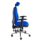 POLAR Ergonomic Executive Chair in blue fabric with adjustable backrest, lumbar support, and chrome base.
