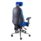 POLAR Ergonomic Executive Chair in blue with adjustable lumbar support, contoured backrest, and chrome base.