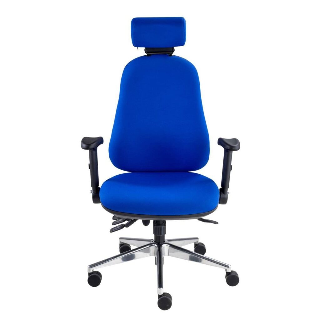 Polar Ergonomic Executive Chair in blue with adjustable backrest, inflatable lumbar support, and chrome base.