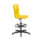 Titan Swivel Senior Chair with Plastic Base, Castors and D-Kit