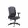 Spark Mesh Office Chair with breathable mesh back, fabric seat, adjustable arms, and a robust base for office use.