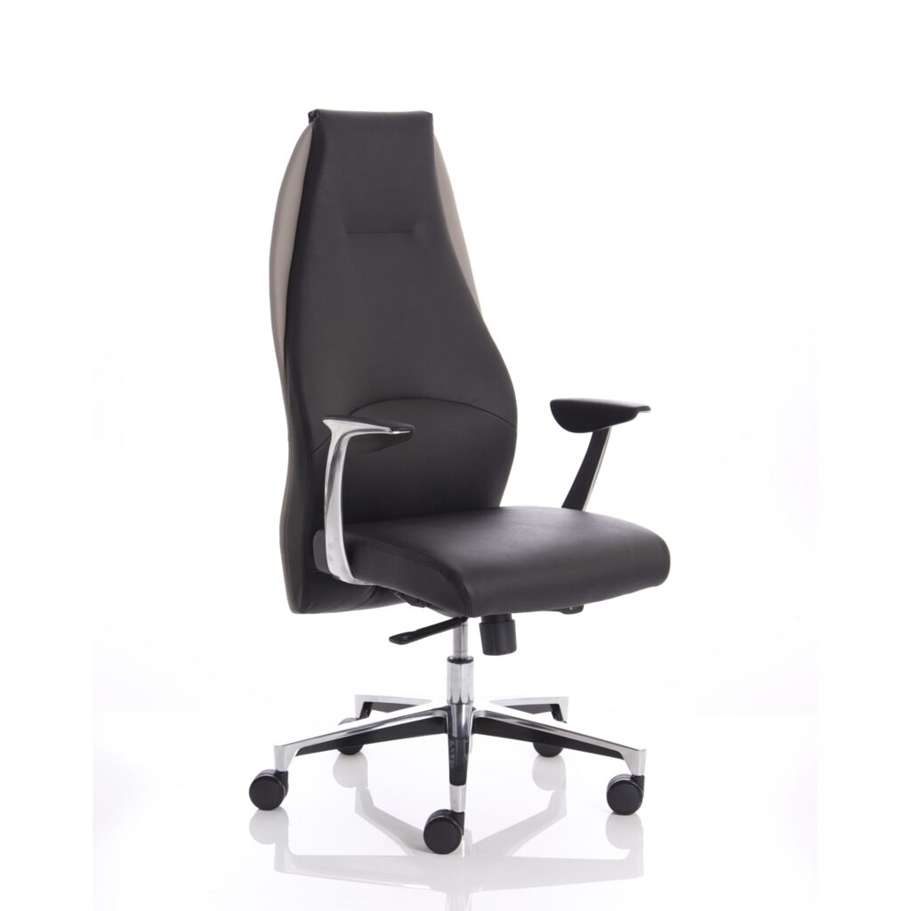 Mien High Back Leather Executive Office Chair with chrome base, ergonomic design, and sleek premium leather upholstery.