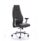 Mien High Back Leather Executive Office Chair with chrome base, ergonomic design, and sleek premium leather upholstery.