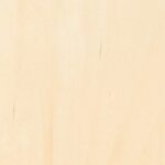 Beech - Standard