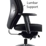 Inflatable Lumbar