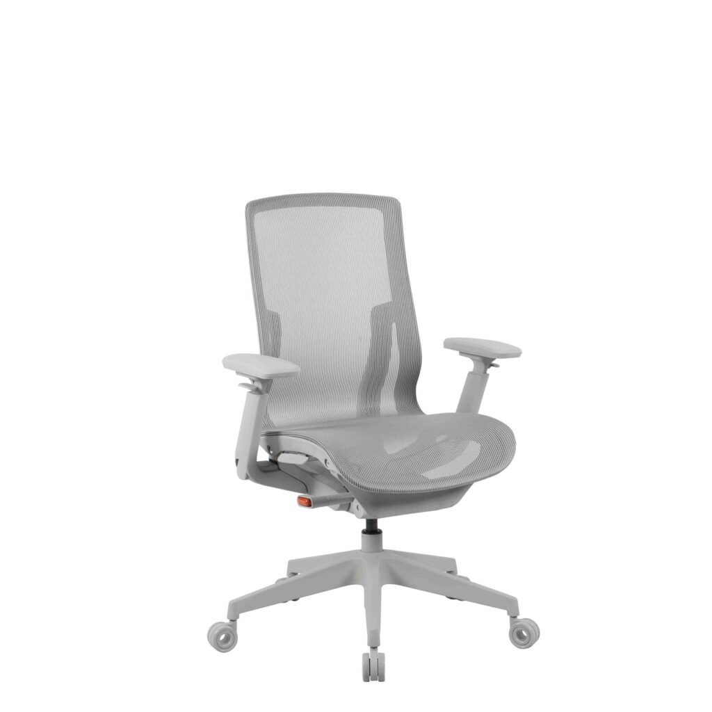 Shift Mesh Back Chair in gray, featuring a breathable mesh back, adjustable 4D arms, and a modern design for office use.