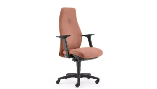 Ergonomic Chairs products