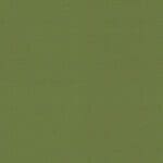 Olive ITA09