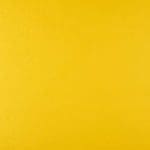 Marigold