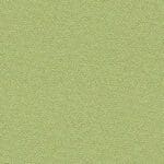 Apple YB096