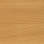Beech