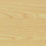 Japanese Ash