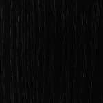 Black Oak