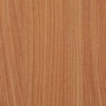 Beech