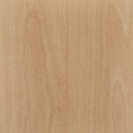 Light Beech