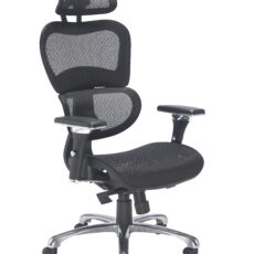 Chachi Ergonomic Office Chair