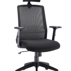 Denali High-Back Office Chair with Headrest