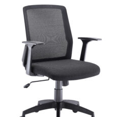 Denali Mid-Back Office Chair