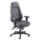 Cheetah Office Chair