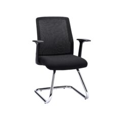 Denali Visitor Chair